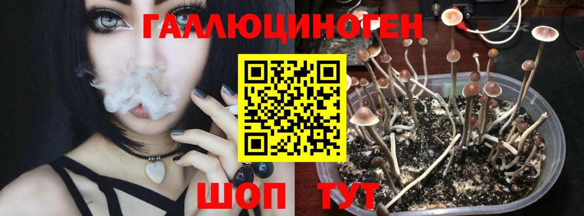 Псилоцибиновые грибы мухоморы Ульяновск